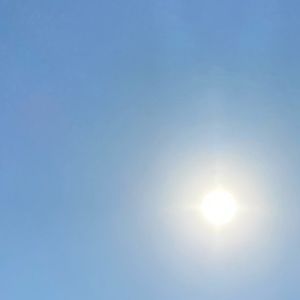 Meet your Posher, Diana